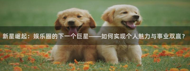 天辰娱乐注册：新星崛起：娱乐圈的下一个巨星——如何实现个人魅力与事业双赢？