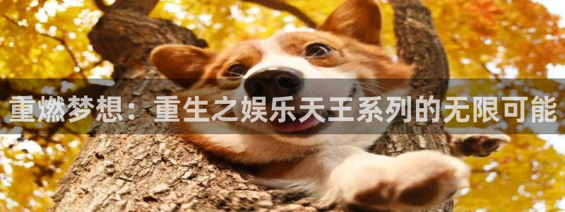 upload/20250701114914.jpg