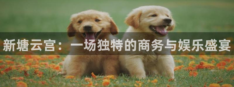 upload/20250701114914.jpg